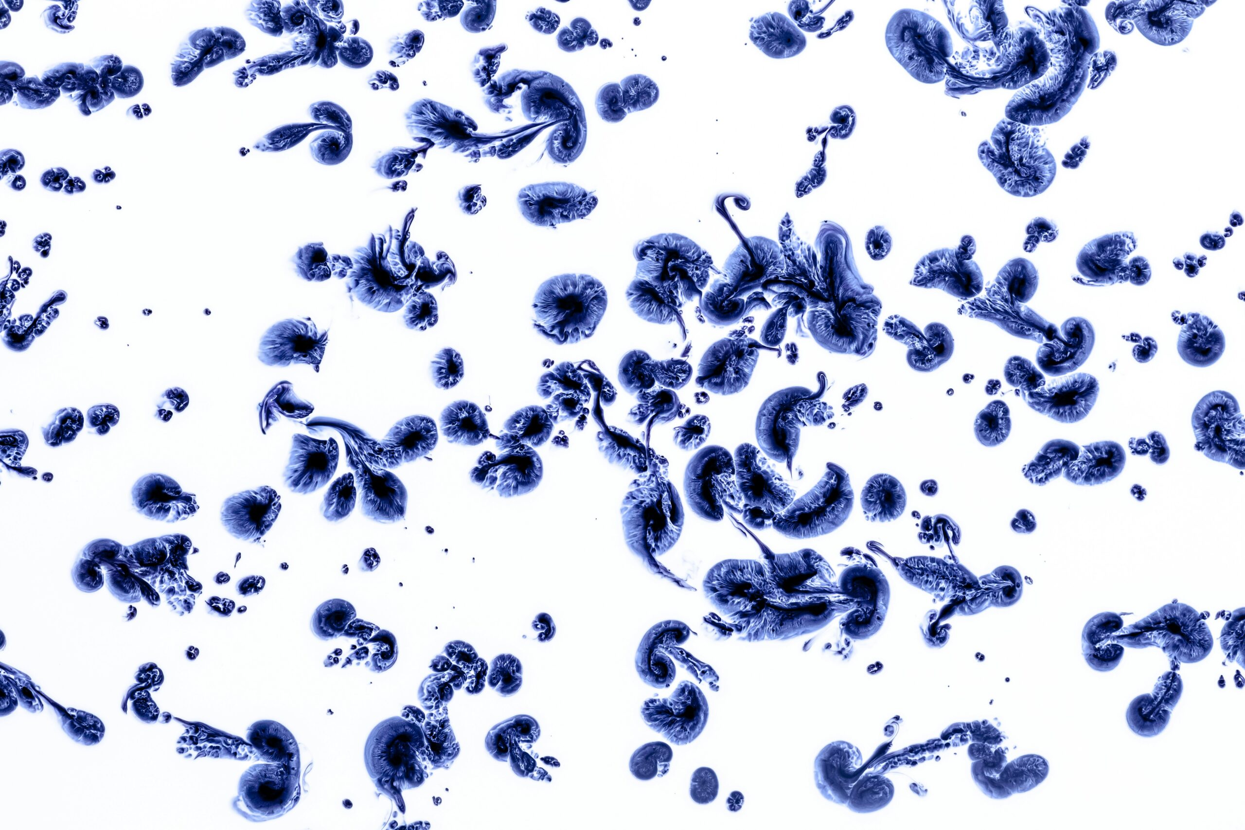 Understanding Ubiquitous Assimilation: The New Era of Cultural Integration